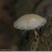 sized_IMG_0007