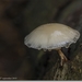 sized_IMG_0008