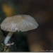 sized_IMG_0014