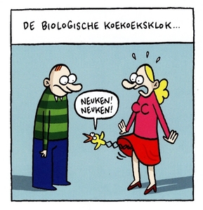 Cartoon_Hara-Kiwi_09_Lectrr_2013_55_biologische-koekoeks-klok_Sca