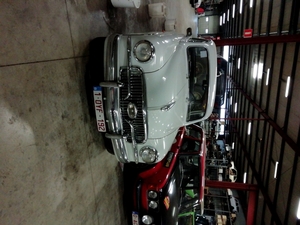 Abart (5)
