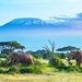 5-Days-Tanzania-wildlife-safari