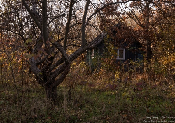 nature_in_lviv_region_of_ukraine_in_nov_2020_photographed_by_serh