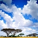 afrika-wolken-natuur-blauwe-achtergrond