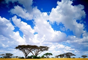 afrika-wolken-natuur-blauwe-achtergrond