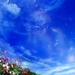 blauwe-natuur-wolken-bloemen-achtergrond