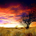 natuur-wolken-horizon-zonsopkomst-achtergrond