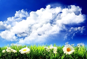 wolken-natuur-weide-bloemen-achtergrond