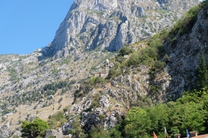 DSCF2951
