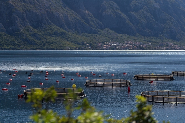 197-2019-09-20 Mn1 Perast Kotorbaai-5546