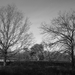 Kessel heide