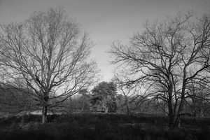Kessel heide