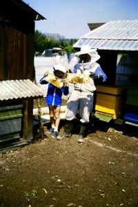 85A59E7F-F0EA-4DAD-AC7D-A72D4360A11D_1_105_c