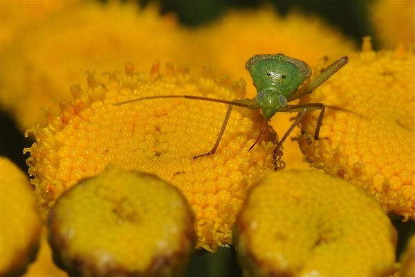 foto kabema (151)