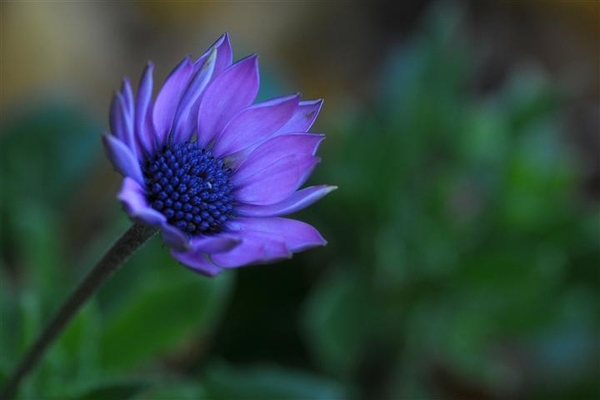 foto kabema (295)