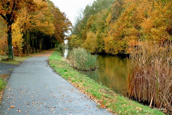 foto kabema (300)