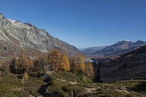 maloja19_011