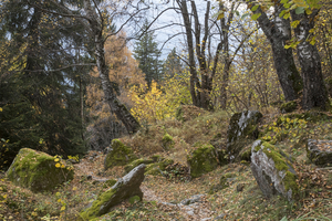 maloja19_053