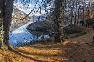 maloja19_101