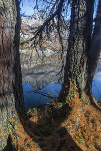 maloja19_102