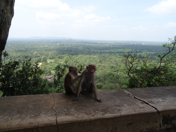 2B Sigiriya, _DSC00137