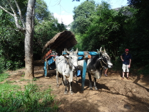 2B Sigiriya, omg., _DSC00166