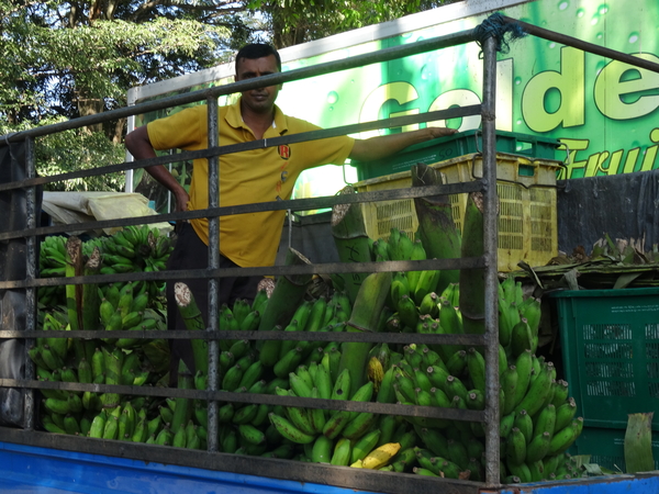 3C Kandy,  _DSC00445