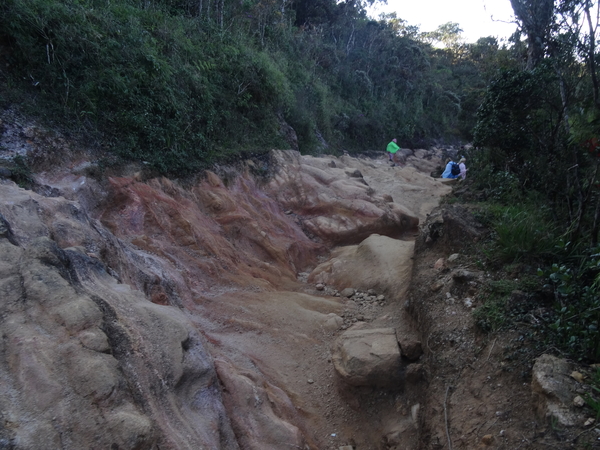 5A Horton plains, _DSC00631