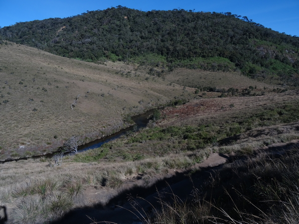 5A Horton plains, _DSC00640