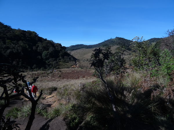 5A Horton plains, _DSC00643