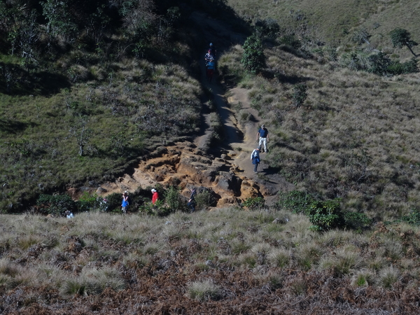 5A Horton plains, _DSC00644