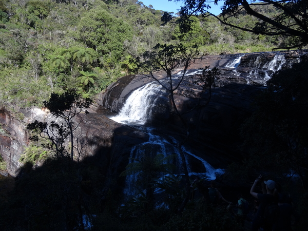 5A Horton plains, _DSC00646