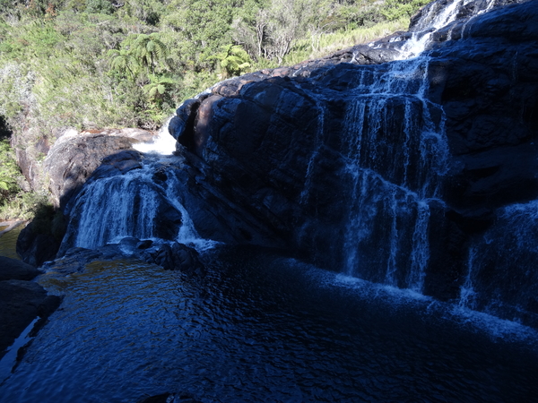5A Horton plains, _DSC00648