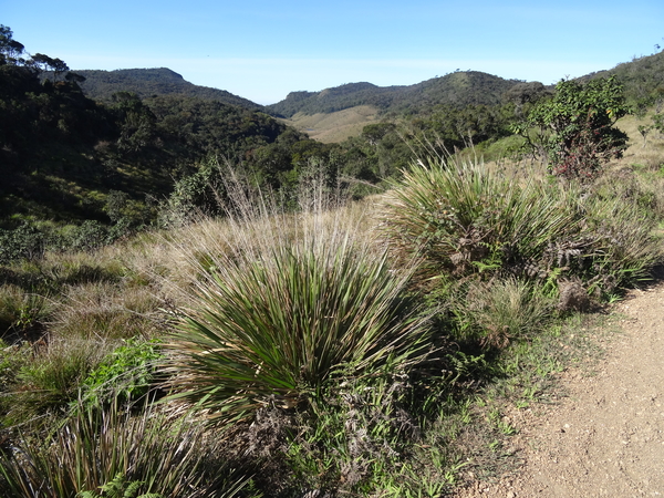 5A Horton plains, _DSC00649