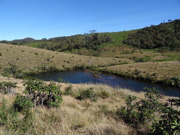 5A Horton plains, _DSC00652