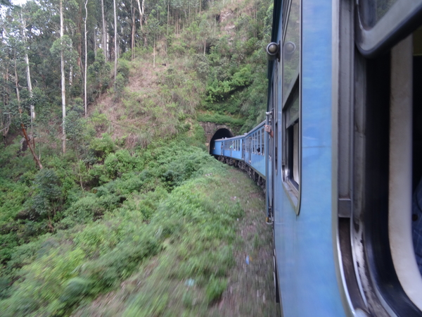 5C Nuwara Eliya--Bandarawela, treinrit _DSC00700