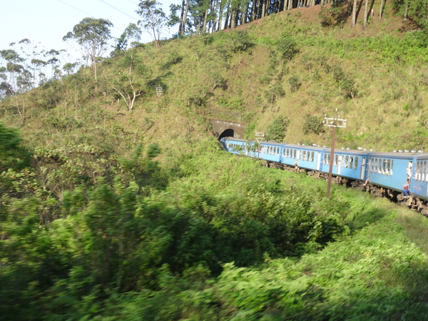 5C Nuwara Eliya--Bandarawela, treinrit _DSC00712