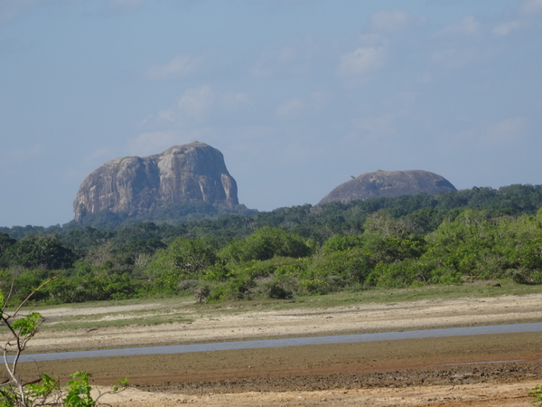 6C Yala, Nat park _DSC00794