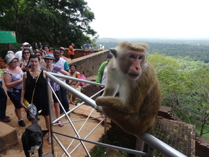 2B Sigiriya, _DSC00134