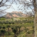Frankrijk Provence