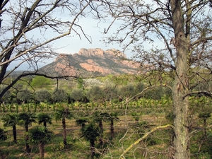 Frankrijk Provence