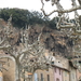 Genua