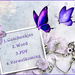 Overzicht-2019.09.17