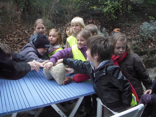 Derde leerjaar meester Joost voelt sculptuur 'Aaibaar '