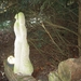 VERLEIDING - SEDUCTION