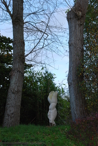 INTIEM - INTIMATE