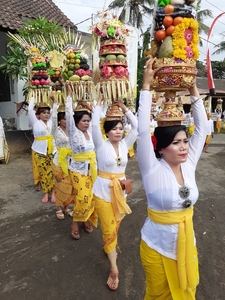 Tempelceremonie Banyualit