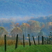 herfst-landschap-natuur-veld-achtergrond