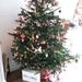 IMG-20191223-WA0002