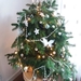 IMG-20191223-WA0004
